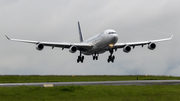 Lufthansa Airbus A340-313X (D-AIGO) at  San Jose - Juan Santamaria International, Costa Rica
