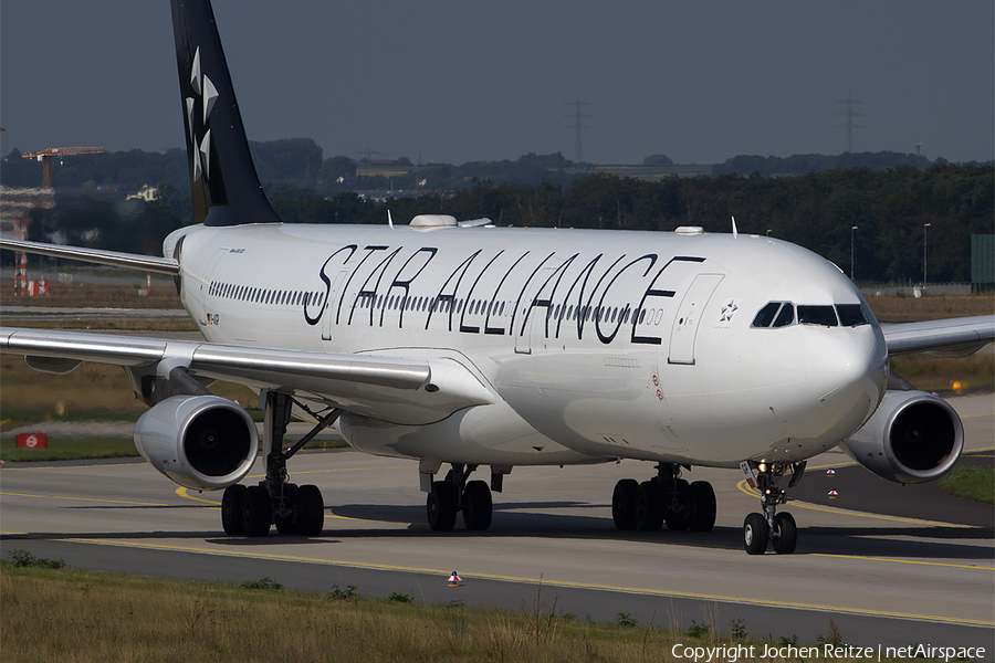 Lufthansa Airbus A340-313X (D-AIGP) | Photo 120042