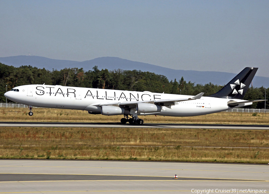 Lufthansa Airbus A340-313X (D-AIGP) | Photo 183476