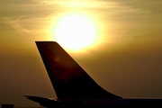 Lufthansa Airbus A340-313X (D-AIGP) at  Frankfurt am Main, Germany