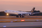 Lufthansa Airbus A340-313X (D-AIGP) at  Frankfurt am Main, Germany