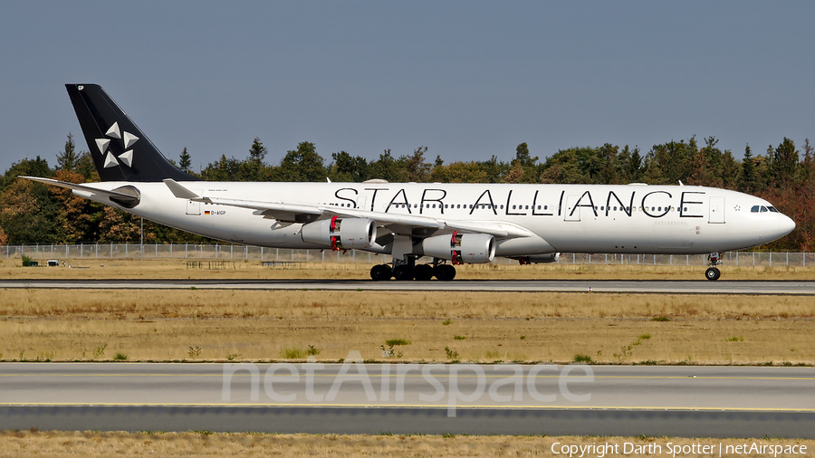 Lufthansa Airbus A340-313X (D-AIGP) | Photo 324007