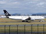 Lufthansa Airbus A340-313X (D-AIGP) at  Frankfurt am Main, Germany