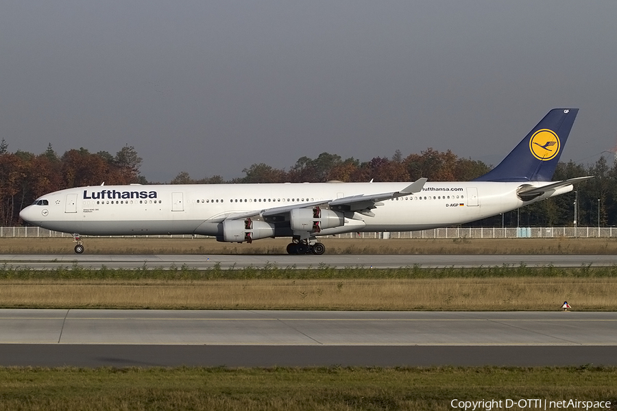 Lufthansa Airbus A340-313X (D-AIGP) | Photo 395273