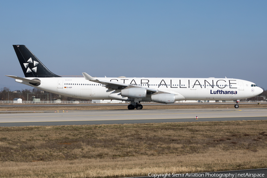 Lufthansa Airbus A340-313X (D-AIGP) | Photo 502337