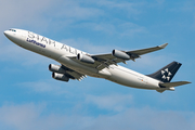 Lufthansa Airbus A340-313X (D-AIGP) at  Frankfurt am Main, Germany