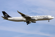 Lufthansa Airbus A340-313X (D-AIGP) at  Frankfurt am Main, Germany