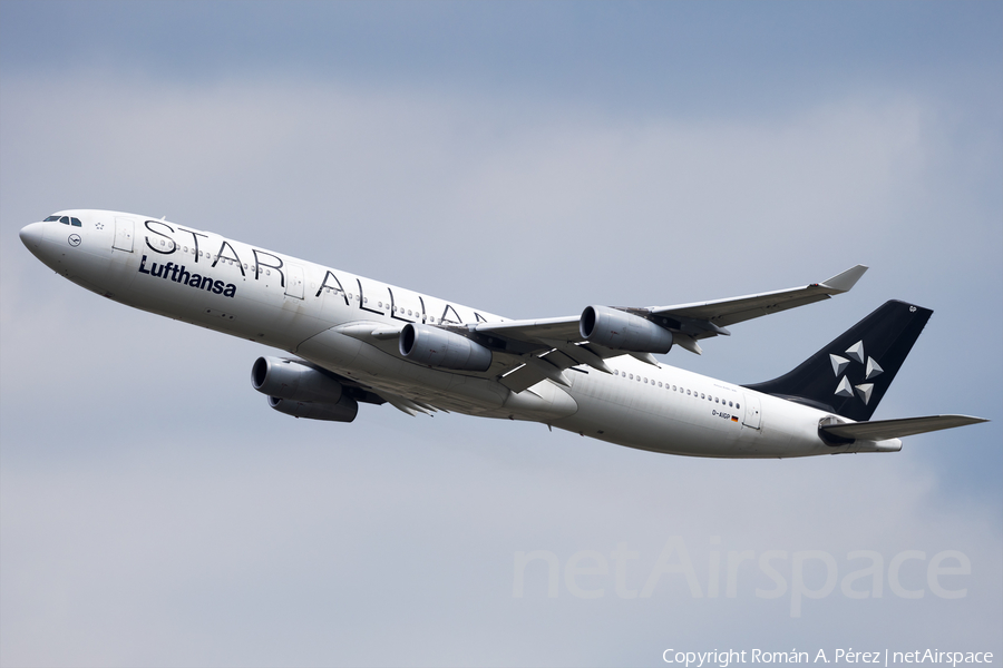 Lufthansa Airbus A340-313X (D-AIGP) | Photo 660339