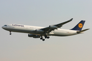 Lufthansa Airbus A340-313X (D-AIGP) at  Frankfurt am Main, Germany