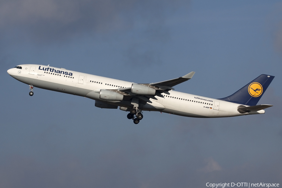 Lufthansa Airbus A340-313X (D-AIGP) | Photo 429715