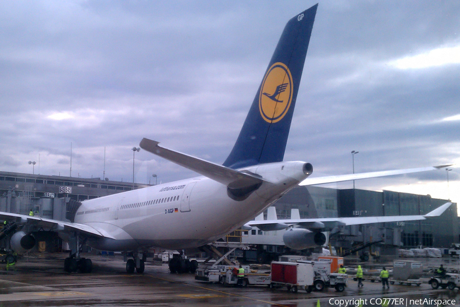 Lufthansa Airbus A340-313X (D-AIGP) | Photo 90378