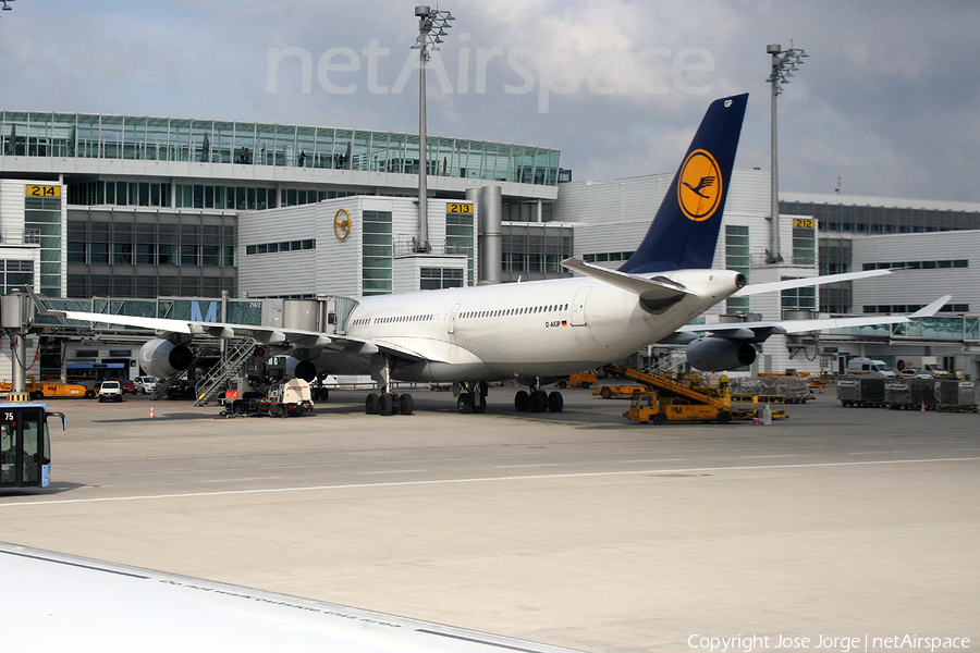 Lufthansa Airbus A340-313X (D-AIGP) | Photo 438765