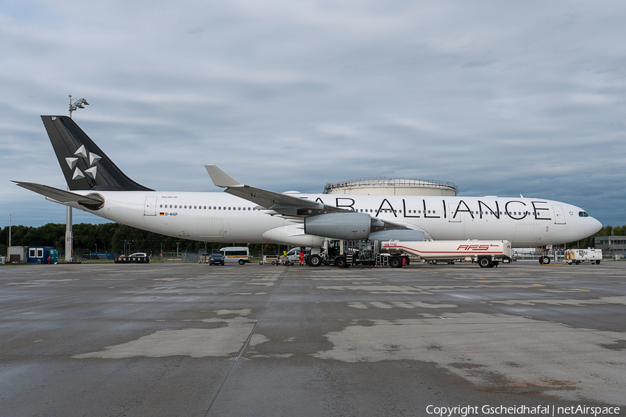 Lufthansa Airbus A340-313X (D-AIGP) | Photo 96913
