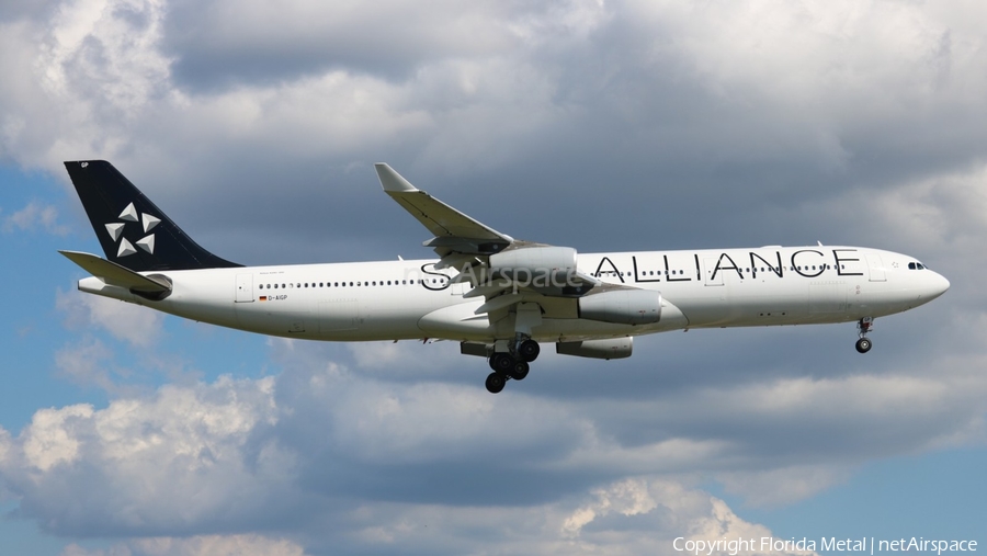Lufthansa Airbus A340-313X (D-AIGP) | Photo 302367