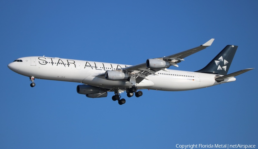 Lufthansa Airbus A340-313X (D-AIGP) | Photo 302369