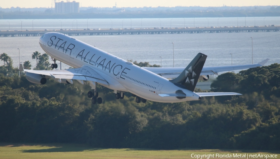 Lufthansa Airbus A340-313X (D-AIGP) | Photo 312686