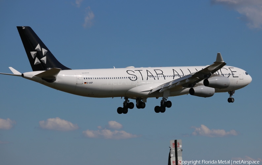Lufthansa Airbus A340-313X (D-AIGP) | Photo 543033