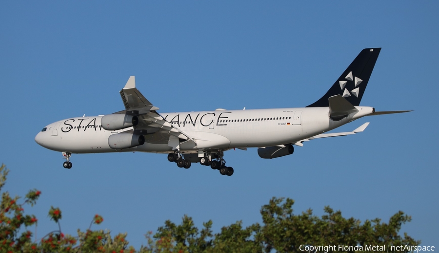 Lufthansa Airbus A340-313X (D-AIGP) | Photo 543034