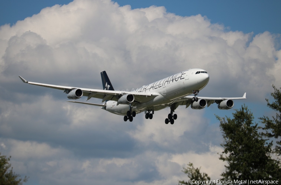 Lufthansa Airbus A340-313X (D-AIGP) | Photo 575106