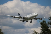 Lufthansa Airbus A340-313X (D-AIGP) at  Tampa - International, United States