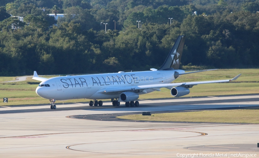 Lufthansa Airbus A340-313X (D-AIGP) | Photo 575108