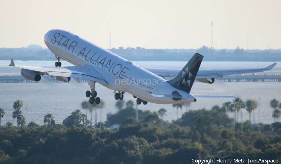 Lufthansa Airbus A340-313X (D-AIGP) | Photo 607012