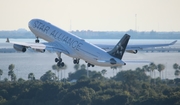 Lufthansa Airbus A340-313X (D-AIGP) at  Tampa - International, United States