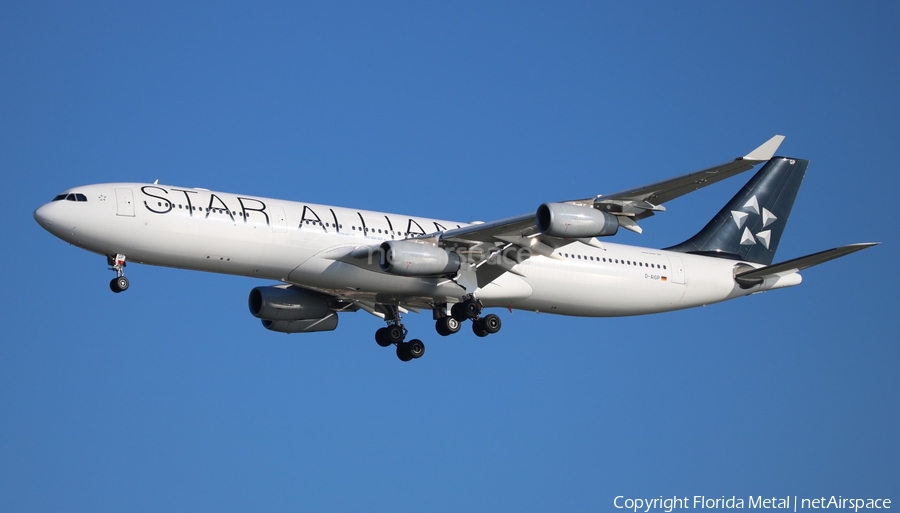 Lufthansa Airbus A340-313X (D-AIGP) | Photo 607014