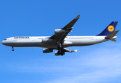 Lufthansa Airbus A340-313X (D-AIGS) at  Dallas/Ft. Worth - International, United States