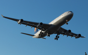 Lufthansa Airbus A340-313X (D-AIGS) at  Frankfurt am Main, Germany