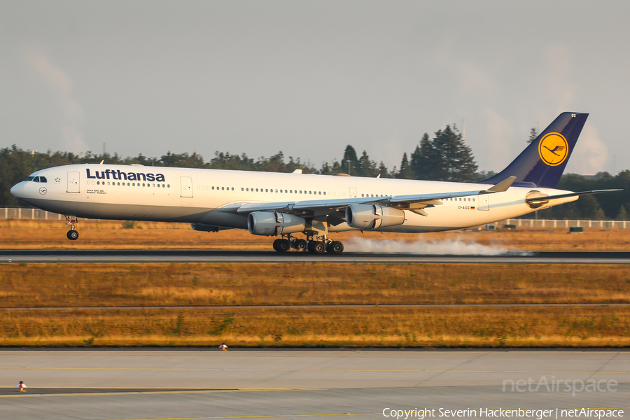 Lufthansa Airbus A340-313X (D-AIGS) | Photo 201353