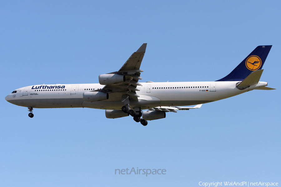 Lufthansa Airbus A340-313X (D-AIGS) | Photo 582174