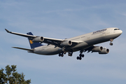 Lufthansa Airbus A340-313X (D-AIGS) at  Frankfurt am Main, Germany