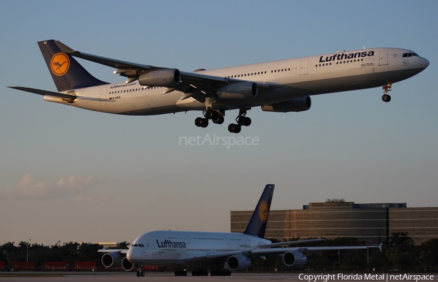 Lufthansa Airbus A340-313X (D-AIGS) | Photo 297909