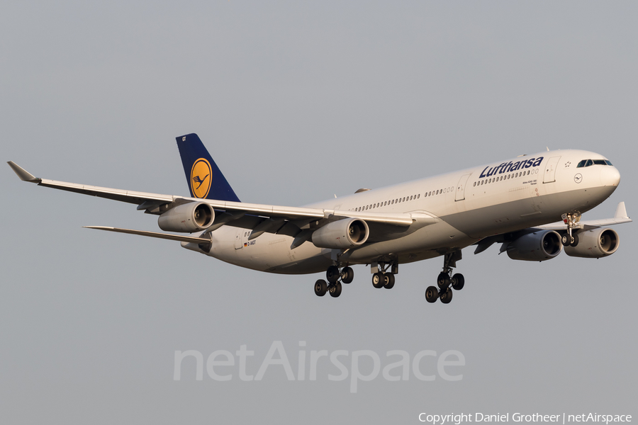 Lufthansa Airbus A340-313X (D-AIGT) | Photo 238378