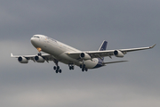 Lufthansa Airbus A340-313X (D-AIGT) at  Frankfurt am Main, Germany