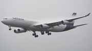 Lufthansa Airbus A340-313X (D-AIGT) at  Frankfurt am Main, Germany