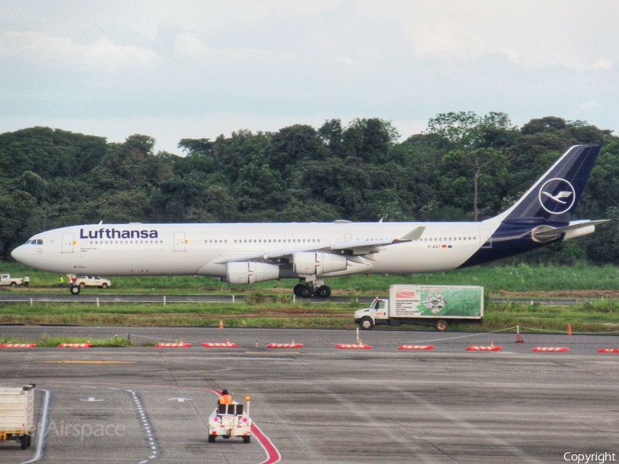 Lufthansa Airbus A340-313X (D-AIGT) | Photo 353227