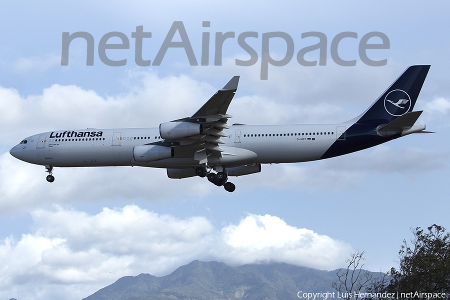 Lufthansa Airbus A340-313X (D-AIGT) | Photo 452081