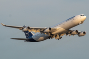 Lufthansa Airbus A340-313X (D-AIGU) at  Frankfurt am Main, Germany