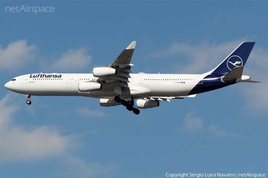 Lufthansa Airbus A340-313X (D-AIGU) | Photo 505624