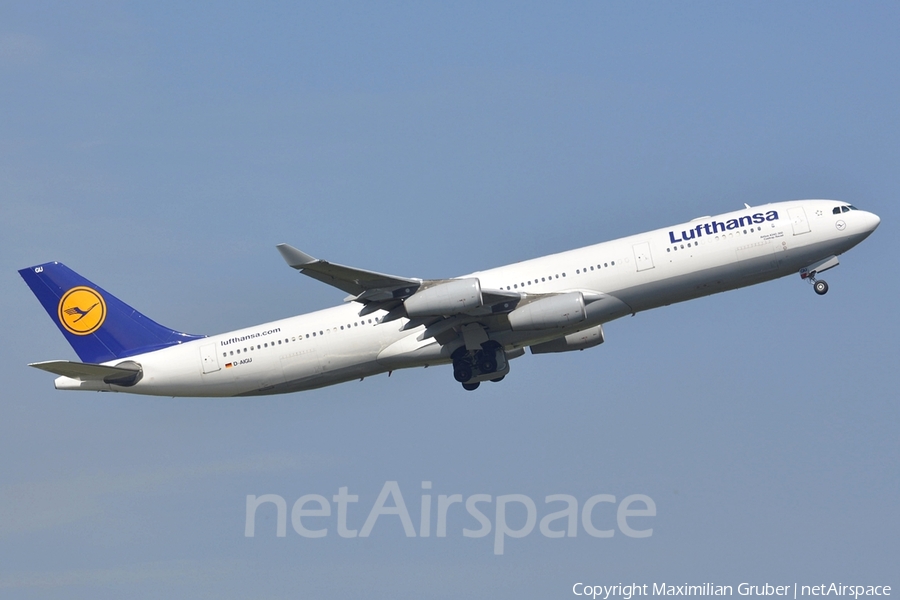 Lufthansa Airbus A340-313X (D-AIGU) | Photo 112008