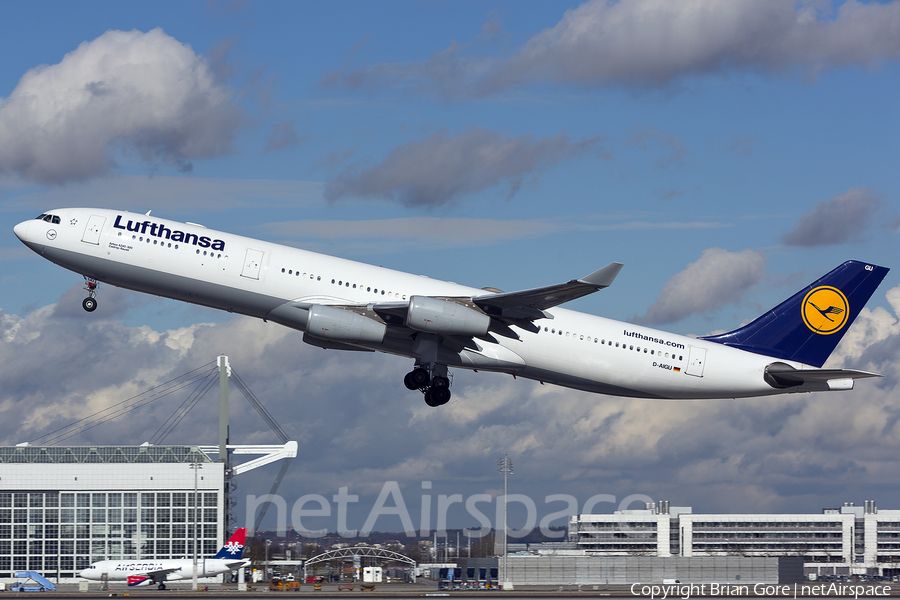 Lufthansa Airbus A340-313X (D-AIGU) | Photo 44435