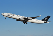 Lufthansa Airbus A340-313X (D-AIGV) at  Dallas/Ft. Worth - International, United States