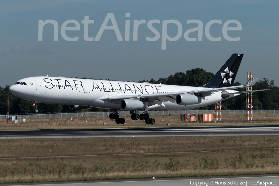 Lufthansa Airbus A340-313X (D-AIGV) | Photo 120483