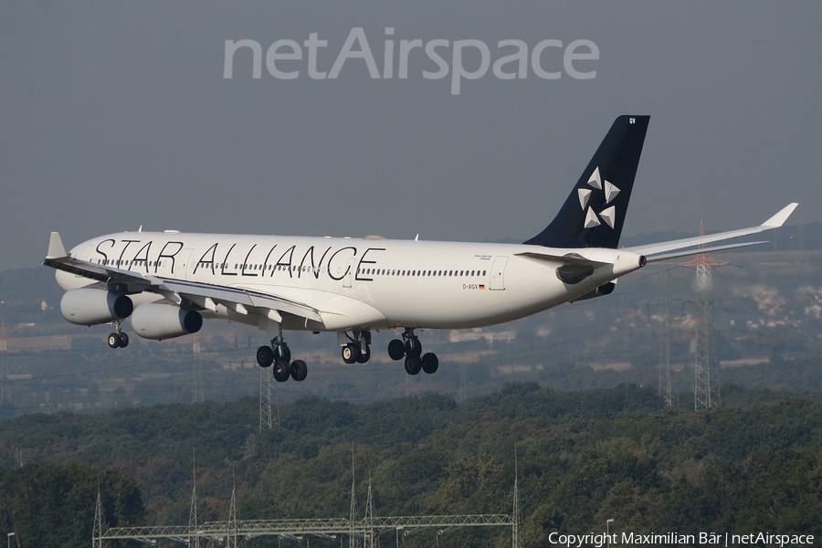 Lufthansa Airbus A340-313X (D-AIGV) | Photo 125763