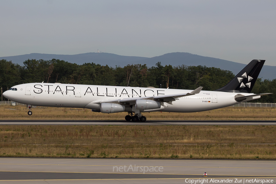 Lufthansa Airbus A340-313X (D-AIGV) | Photo 125951