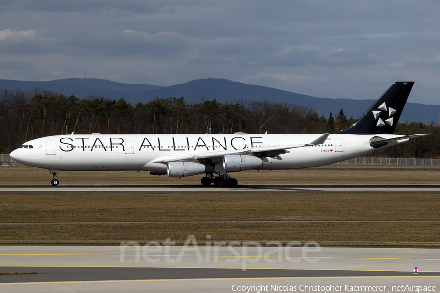 Lufthansa Airbus A340-313X (D-AIGV) | Photo 159395