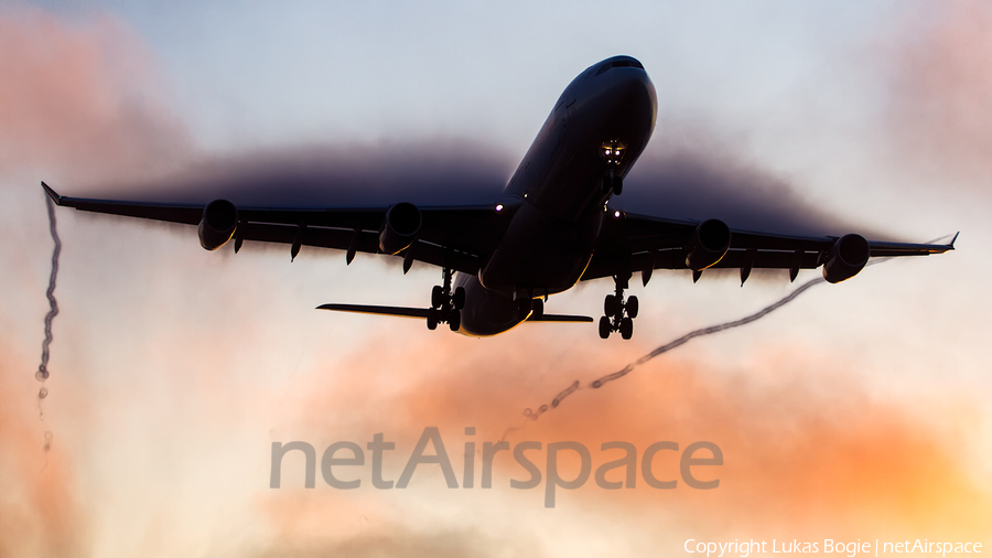 Lufthansa Airbus A340-313X (D-AIGV) | Photo 188445