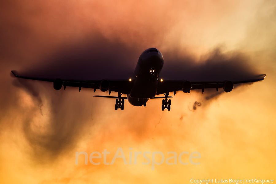 Lufthansa Airbus A340-313X (D-AIGV) | Photo 188628